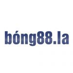 Bong88 - Bong88.la ✔️ Link vào bóng 88 mới nhất tháng 11/2023