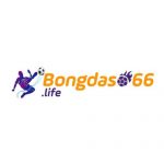 bongdaso66