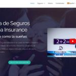 dulcineainsurance