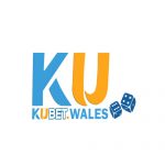 Nhà Cái Kubet