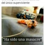 Mariaj
