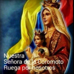 rosalinda12