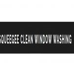 Squeegee Clean Window Washing